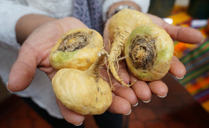 MACA DE PERU, Libido hombre y mujer